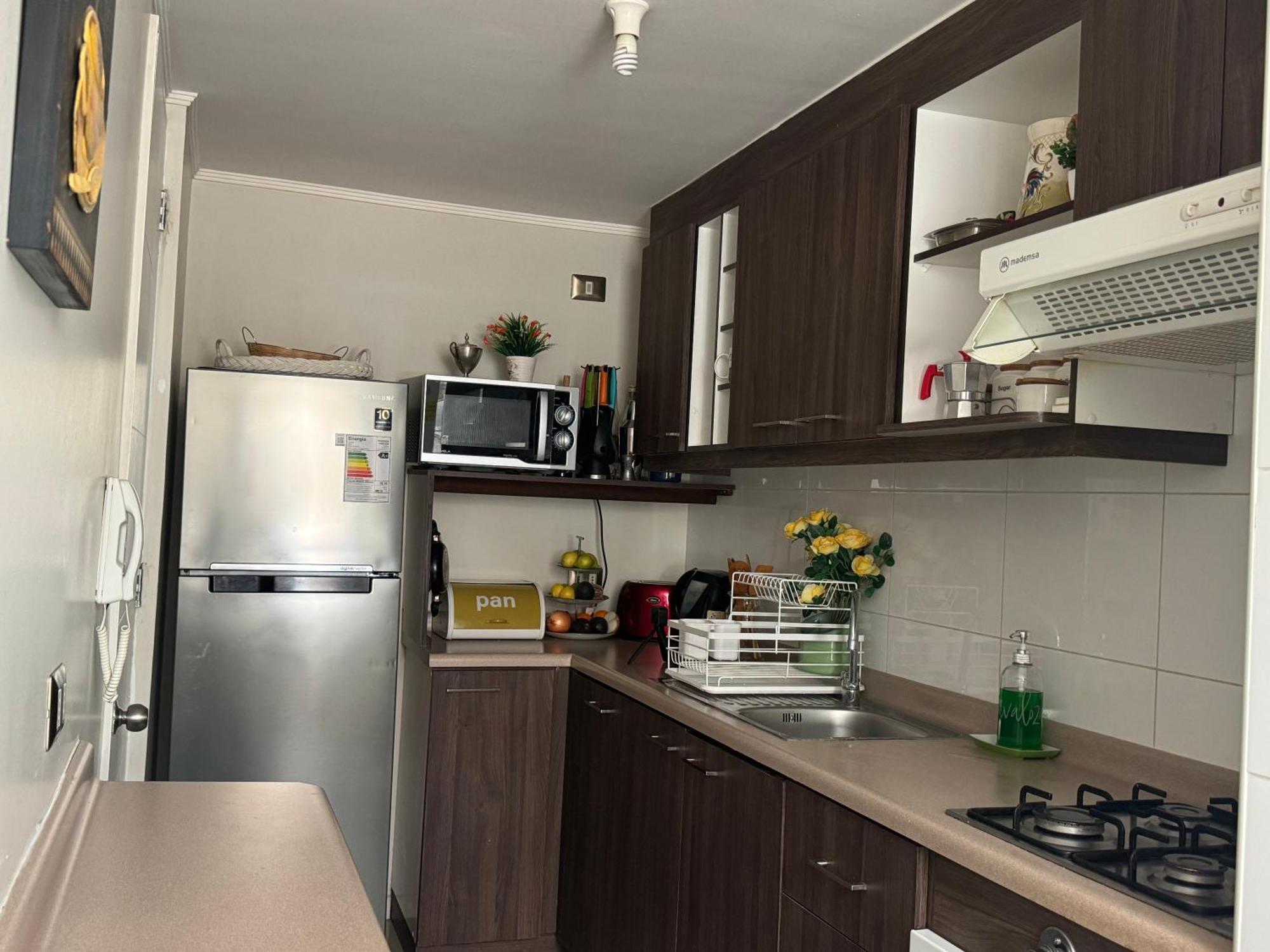 Decher Apartment - Пуерто-Варас Екстер'єр фото